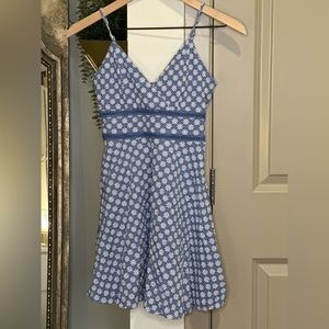 Blue Floral Embroidered Mini Dress bought from Francesca’s (worn once)